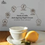 Anti Ageing Night Cream - Image 5