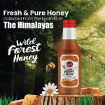 Wild Forest Honey - Image 5
